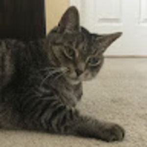 Meet your Posher, Grant